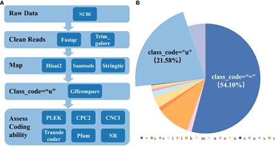 Genome-wide identification of long intergenic non-coding RNAs of responsive to powdery mildew stress in wheat (Triticum aestivum)